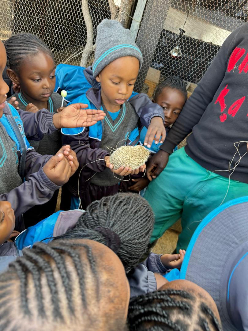 Harmony Junior School